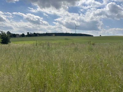 Großzügiges Grundstück sucht BAUFAMILIE!