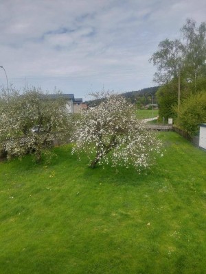 BAUGRUND - FANTASTISCHE LAGE mit Altbestand