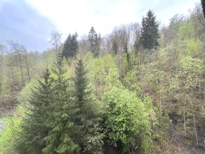 Helle, moderne 2-Zi.-Wohnung mit Balkon