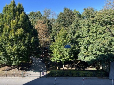 Single oder Pärchenwohnung in zentraler Lage, sehr gute Anbindung an Bus und Bahn