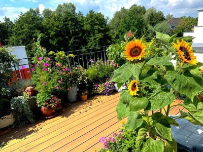 Penthouse Schwerin