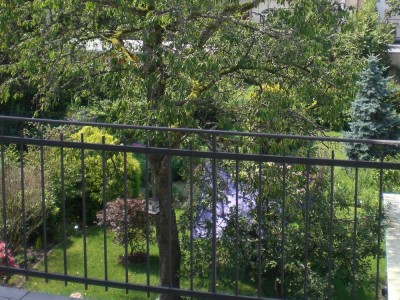 Sehr helle 5-Zimmer Altbau-Wohnung in Freiburg-Herdern