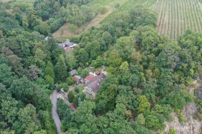 Exklusives Biedermeier-Juwel in Bestlage des 19. Bezirks [A\\]