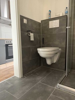 1-Raum-Wohnung mit Innenausstattung und Küche