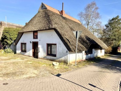 ToHuus Immobilien: entkernte Reetdachkate nahe dem alten Weserarm in Lox.-Ueterlande ...