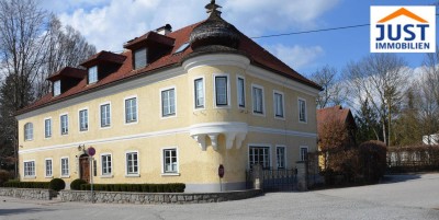 SANIERTE Eigentumswohnung im klassischen Stil mit Terrasse und Gartenanteil EG WEST