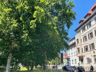 5-Gehminuten von der Donau entfernt: 3-Zimmer Wohnung mit EBK im Grünen