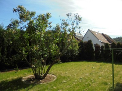 Sofort freie gemütliche Wohnung mit 2 Balkonen und Blick in den Garten, inkl. Garage und Küchenzeile