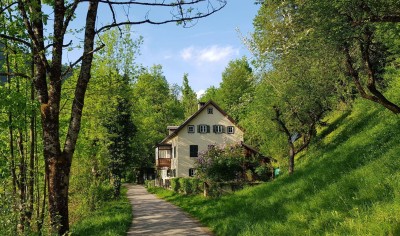 Wohnen im Salzsteigerhaus, Zentrum Bad Ischl