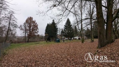 Natur pur - 5.700 m² großes Grundstück mit Bungalow in ruhiger Schildower Ortsrandlage