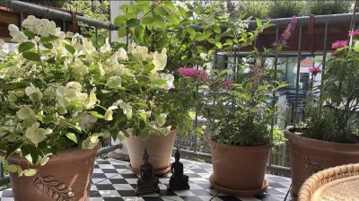 Helle 2-Zimmer-Wohnung mit Balkon in Leipzig Gohlis-Süd