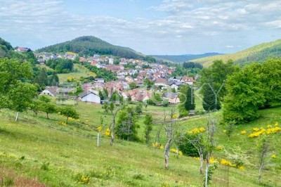 ** Platz für mehrere Generationen - Idyllisches Anwesen **