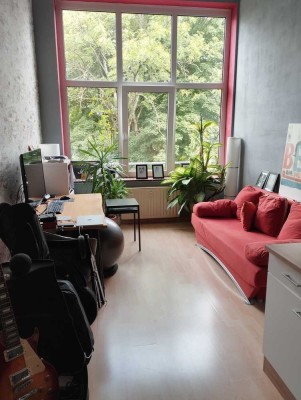 250.0 € - 32.0 m² - 1.0 Zi. Helles Apt., schöne Aussicht