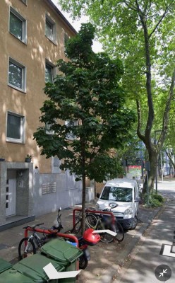 Sicher vermietet, liebevoll erhalten – Ihr Vermögensbaustein in ruhiger Lage