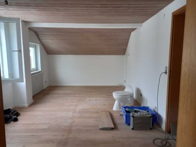 Schöne helle DG-Wohnung (ohne Balkon) ab 01.03.25 in Kempten-St. Mang zu vermieten