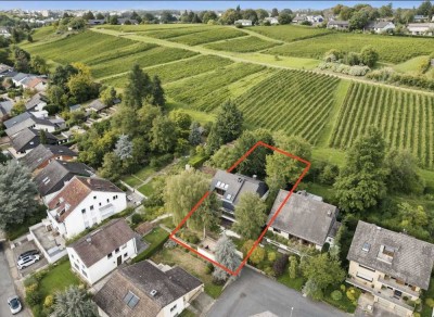 Ein Zuhause am Weinberg – wo Natur, Ruhe und Lebensqualität aufeinandertreffen