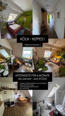 UNTERMIETE IN KOELN NIPPES (6 Monate) ab Januar 2026