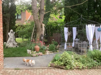 Freundliche, modernisierte 2-Zimmer-Wohnung zur Miete in Seelze