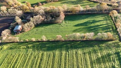 2 Hektar Möglichkeiten – Sanierungsobjekt mit Potenzial!