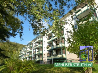 gepflegte 2,5- Raumwohnung sucht neuen Mieter