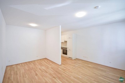 Ab 01.09. Wunderschöne 1-Zimmer-Etagenwohnung mit Loggia