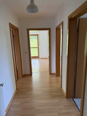 großzügige,helle 3 Zi.Wohnung,mit Balkon,sofort bezugsfrei