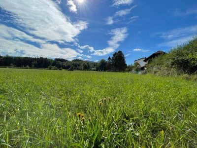 Wohntraum am Grünland! Ökologisch nachhaltige 5 Zimmer Gartenwohnung in Wals bei Salzburg