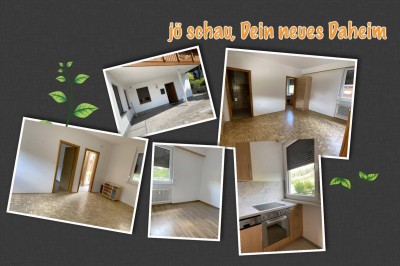 Single-Wohnung im Grünen