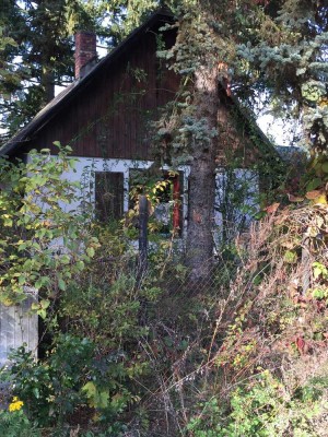 Wunderschönes naturbelassenes Grundstück mit kleinem älteren Haus