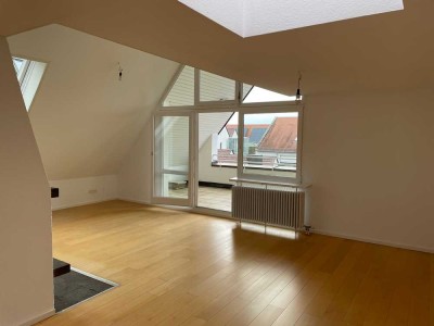 Helle großzügige Wohnung mit zwei Kaminen und Westbalkon