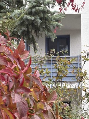 Wohnung zu verkaufen provisionsfrei