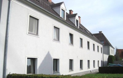 Steyr - Fischhub III - Whg. Nr. I/1/8