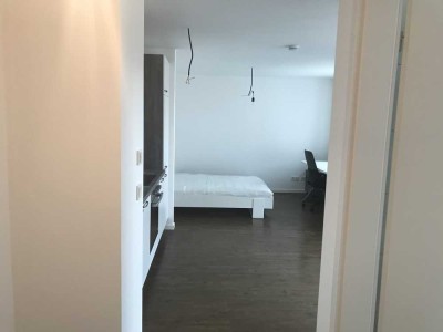 1-Zimmerwohnung mit EBK, vollmöbliert und Balkon: stilvoll wohnen in Mannheim
