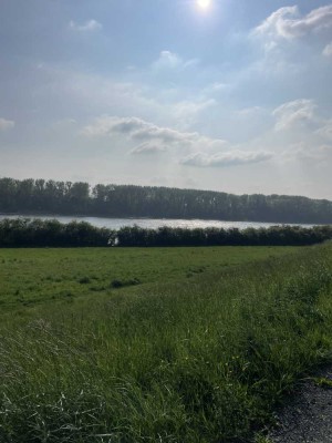 Wunderschöne 3 Zimmer Wohnung in Niederkassel Rheidt