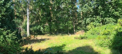 Neu gebautes, geräumiges Haus auf Grundstück am Wald in Michendorf Six