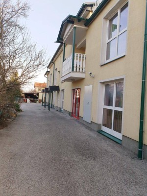 Ein - Zimmerwohnung mit neuer Küche + Balkon zu vermieten!