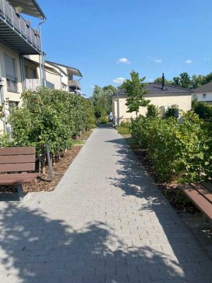 Haltern-Sythen-seniorengerechte, moderne 2 Zimmer Wohnung mit Aufzug- zentrale Lage