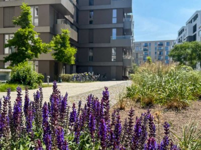 Neubauqualität zum Einziehen: 5-Zimmer-Wohnung mit Terrassen und Wohlfühlfaktor