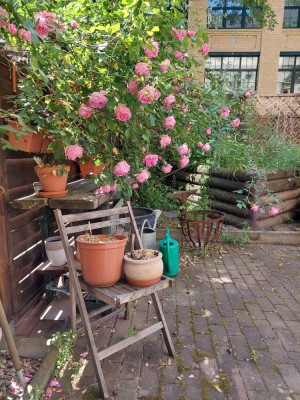 Nähe Oststraße / Uni, Hochparterre  mit eigener Terrasse & Tageslichtbad