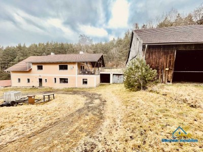 Großzügiges Familienanwesen mit Charakter und viel Potenzial