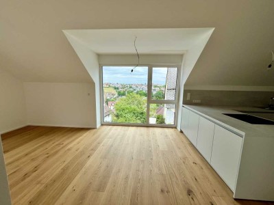 moderne 4-Zimmer-Neubau-Wohnung mit Einbauküche in Langenau-Albeck - Erstbezug