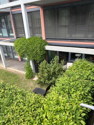 Frisch renovierte, helle 2,5-Zimmer-Maisonette Wohnung mit Terrasse und Garten in der Stadtmitte