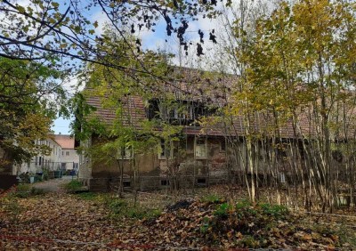 Historisches Herrenhaus mit drei Seitengebäuden möchte aus dem Dornröschenschlaf geweckt werden