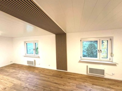 Erstbezug nach umfassender Sanierung - 2,5-Zimmer-Wohnung in Ziegelhausen