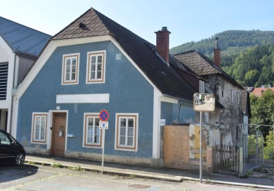 Historisches Objekt mit Ybbszugang