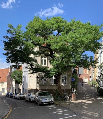 Charmantes Altstadthaus in ruhiger Innenstadtlage Lübeck