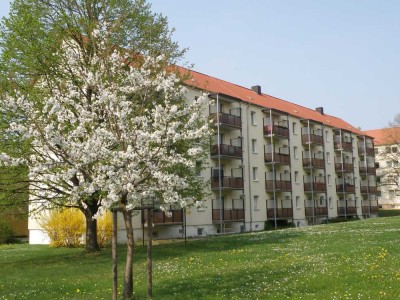 Platz für die ganze Familie! 4-Raum-Whg. mit Balkon in der Süderstadt