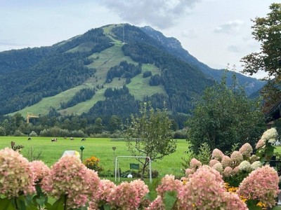 Wohnen, wo andere Urlaub machen - 4 Zimmer-Gartenwohnung mit großer Terrasse in Kössen