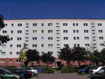 1-Raumwohnung zum selber Tapezieren!
