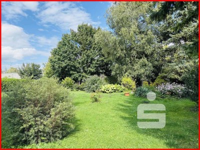 Guter Schnitt sucht Renovierer
